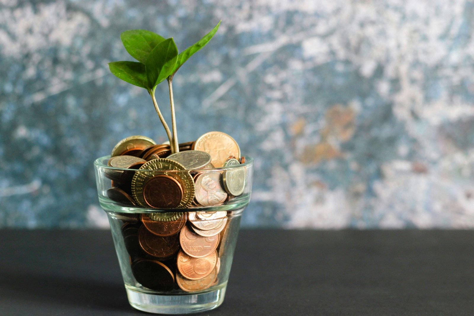 Cost of E-Invoicing Implementation in UAE